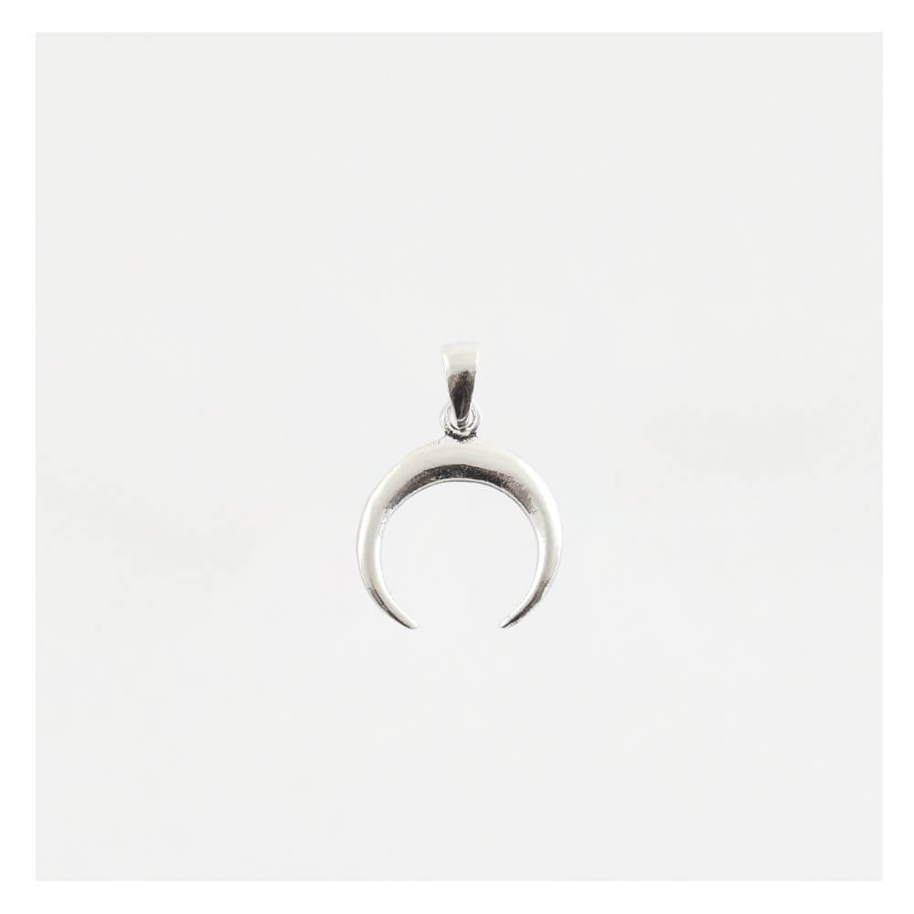 Crescent Horn Pendant