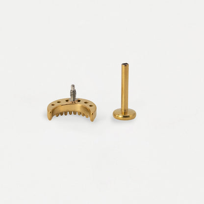 Steel Crystal Crescent Moon Flat Back Labret
